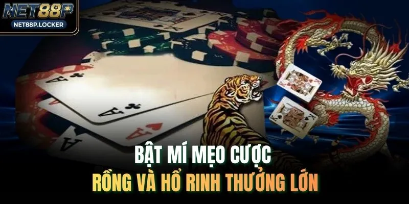 Bật mí mẹo cược Rồng và hổ rinh thưởng lớn