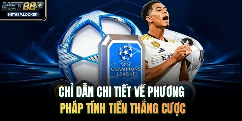 Chỉ dẫn chi tiết về phương pháp tính tiền thắng cược