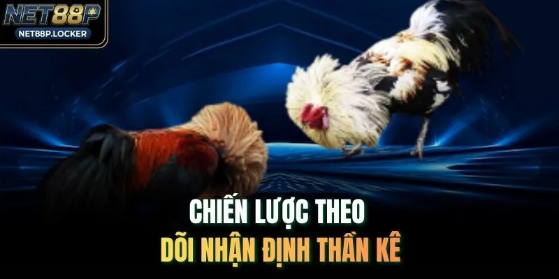 Chiến lược theo dõi nhận định thần kê