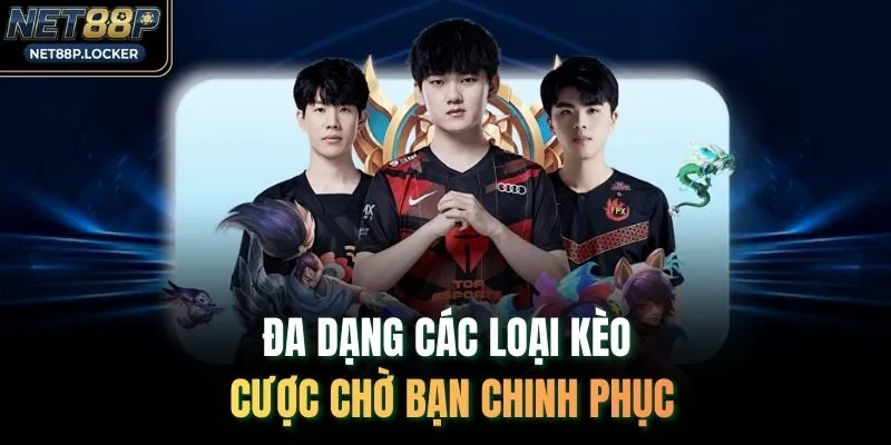 Đa dạng các loại kèo cược chờ bạn chinh phục
