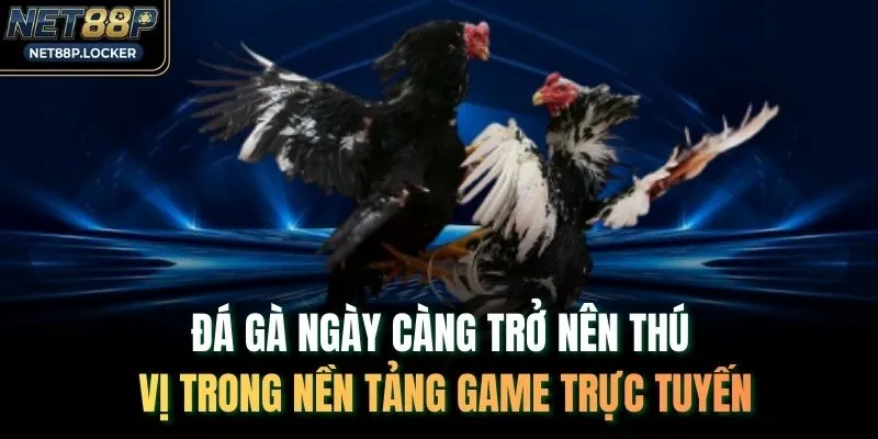 Đá gà ngày càng trở nên thú vị trong nền tảng game trực tuyến