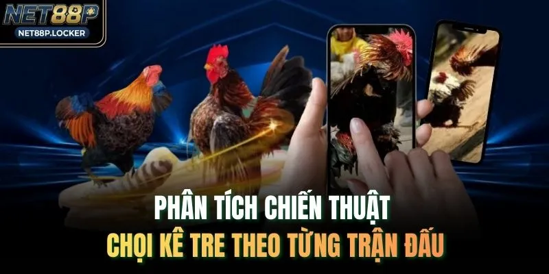 Phân tích chiến thuật chọi kê tre theo từng trận đấu