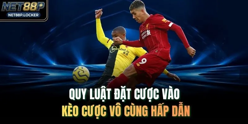 Quy luật đặt cược vào kèo cược vô cùng hấp dẫn